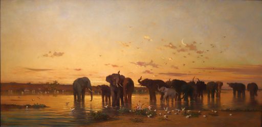 C. de Tournemine (1867) : Eléphants d'Afrique
