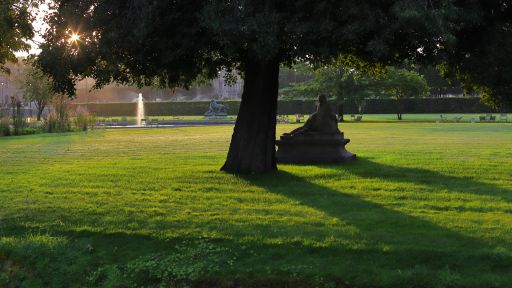 杜乐丽花园的清晨